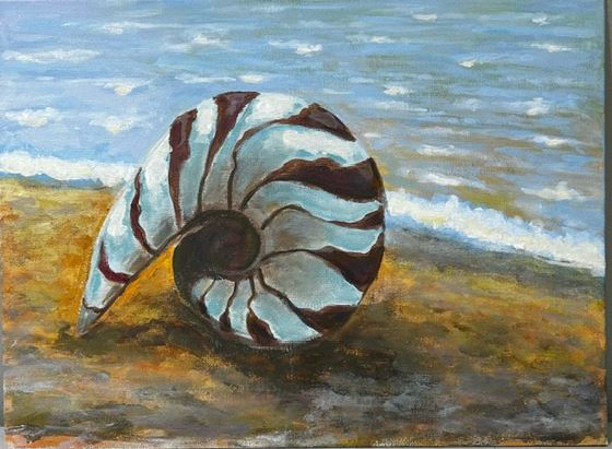 Painting of a large nautilus shell by Rusha Mitra Sarkarl